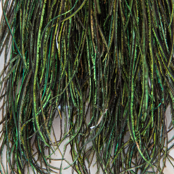 Strung Peacock Herl 5-7"