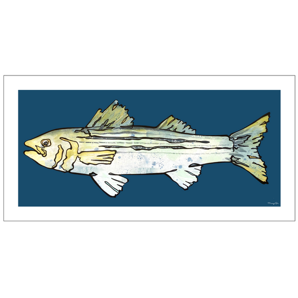 Meg Davies Print 12x6 Striped Bass