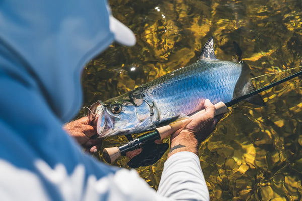 G. Loomis Asquith Saltwater Fly Rod