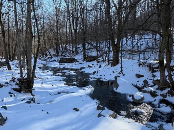 Winter Fishing Report - 2025/2026