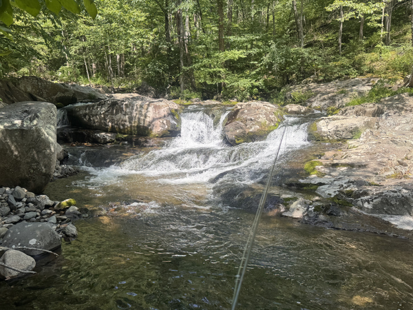 Spring Fishing Report 2026