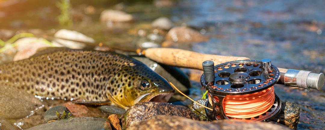 angler fly fishing rod Rise Fishing Black and Tan Trout Series Fly Rod
