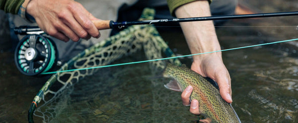 Temple Fork Outfitters