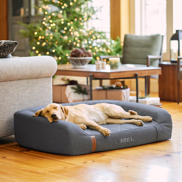Orvis RecoveryZone® Couch Dog Bed