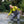 Grundéns Men’s Vector Stockingfoot Wader