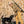 Ball and Buck Active+ Field Pant - 15oz Stretch