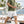 Criquet Anytime Short 7