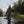 Person fly fishing in a river with a wading staff surrounded by trees