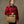 Filson Rugged Twill Original Briefcase