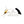 Fish Skull Articulating Shanks