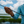 Toadfish Stowaway Travel Spinning Rod