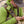 Fishpond 360 Swivel Retractor