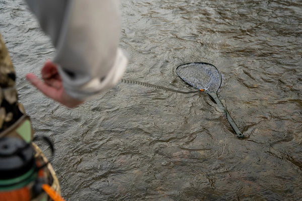 Fishpond Confluence 2.0 Net Release