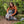 Fishpond Firehole Backpack