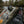 Fishpond Riverkeeper Digital Thermometer