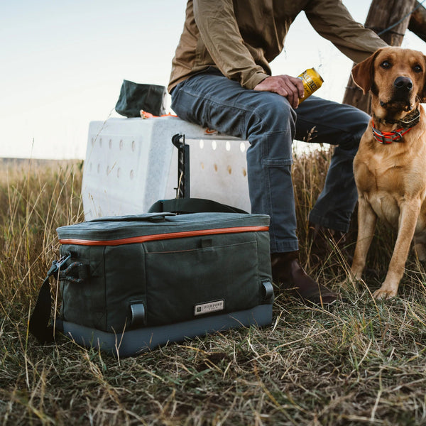 Person sitting with a dog and a cooler in a field