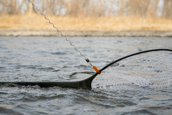 Fishpond Confluence 2.0 Net Release