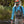 Fishpond Canyon Creek Chest Pack