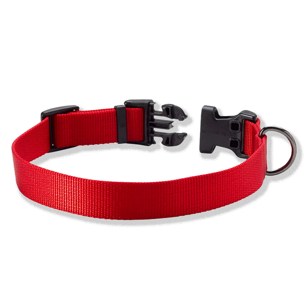 Orvis Adjustable Dog Collar