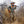 Orvis Men's PRO Upland Brush Pant