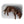 Orvis RecoveryZone® Lounger Dog Bed