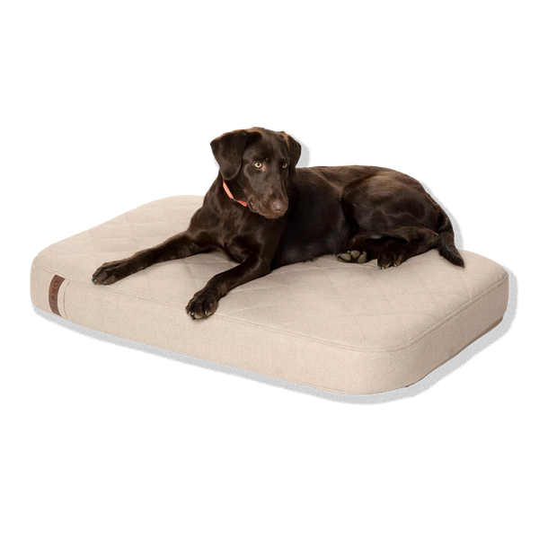 Orvis RecoveryZone® Lounger Dog Bed
