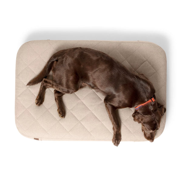 Orvis RecoveryZone® Lounger Dog Bed