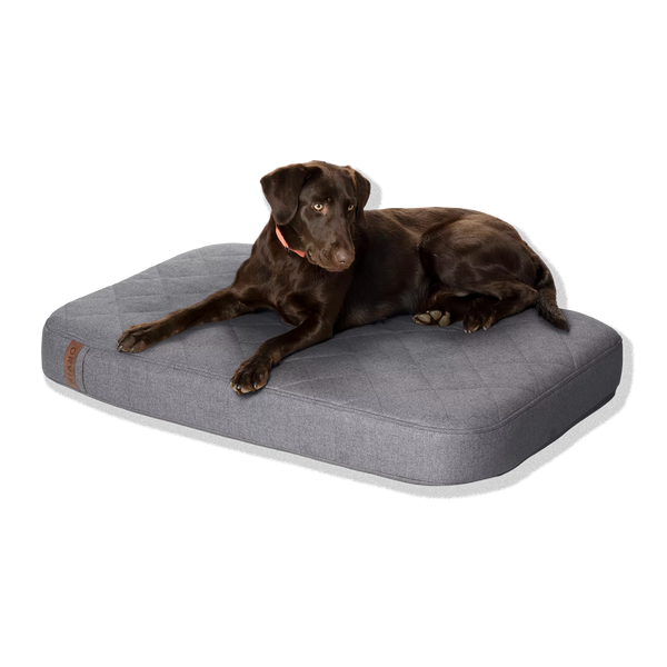 Orvis RecoveryZone® Lounger Dog Bed