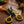 Loon Razor Scissors