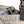 Redington Escape Wader