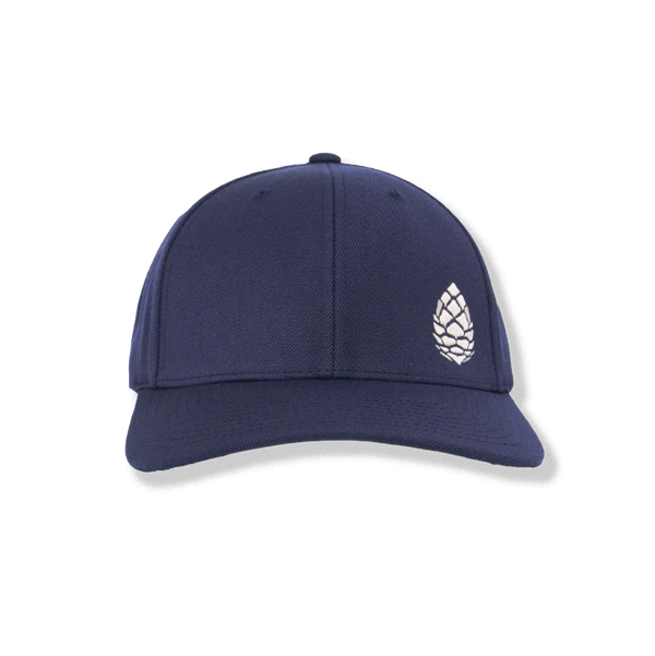 Stio Whitebark Pinecone Hat