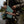 Fishpond Tacky Pescador Fly Box - Large - Dynamic Foam