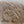 Hareline Elk Hair