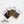 Hareline Cul de Canard (CDC) - 1 Gram Pack