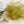 Hareline Cul de Canard (CDC) - 1 Gram Pack