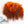 Hareline Strung Guinea Feathers