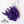 Hareline Strung Guinea Feathers