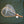 Wolf Moon Wolf River Clear Rubber Net