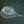 Wolf Moon Horserace Clear Rubber Net