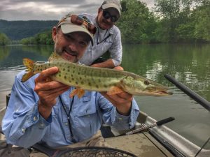 Angler and guide with a small Shenandoah River Musky.