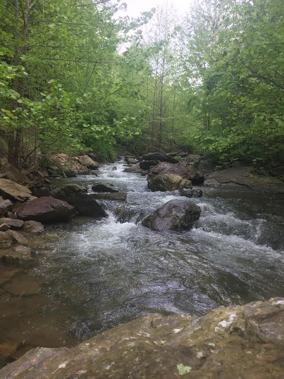 North Fork of the Moormans River in the Shenandoah National Park. 