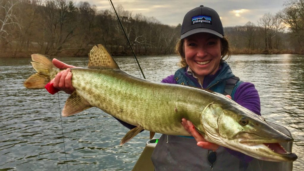 Virginia musky. Very happy female angler with a nice James River musky.