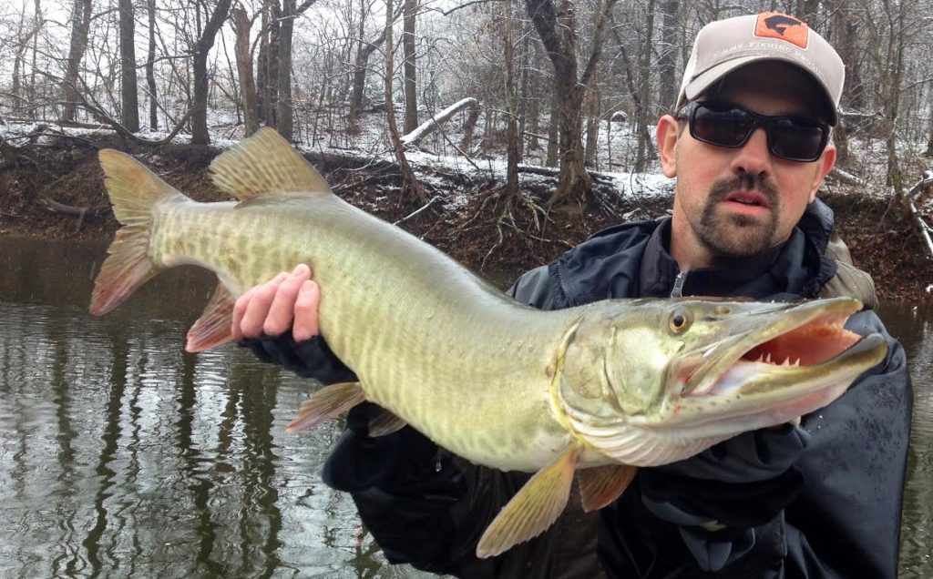 Central Virginia, Shenandoah and James River Fishing Report. August 23,  2017. - Albemarle Angler