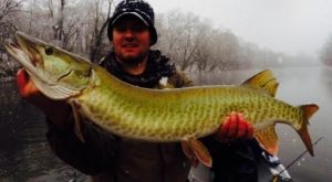 A musky caught in a snow storm on the James River, Buchanan Virginia.