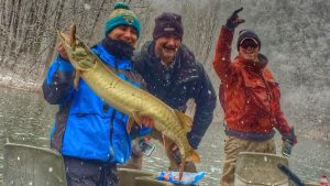 Anglers and guide with a musky on a snowy day on the James. Photo posted in photo gallery.