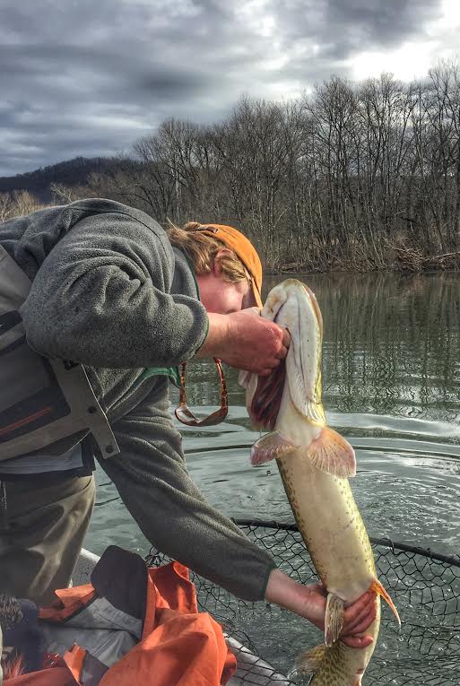 Central Virginia, Shenandoah and James River Fishing Report. August 23,  2017. - Albemarle Angler