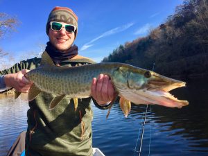 An angler with a nice James river musky, caught on the James River in Virginia, Va.