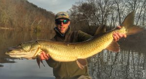 Angler with a great musky caught on the James River, Buchanan Va.