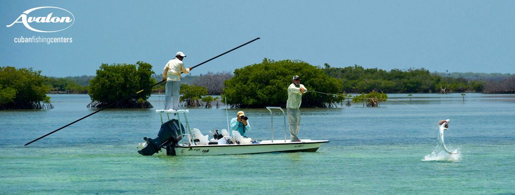Angler in boat with a jumping tarpon while fishing Isla De Juventud cuba