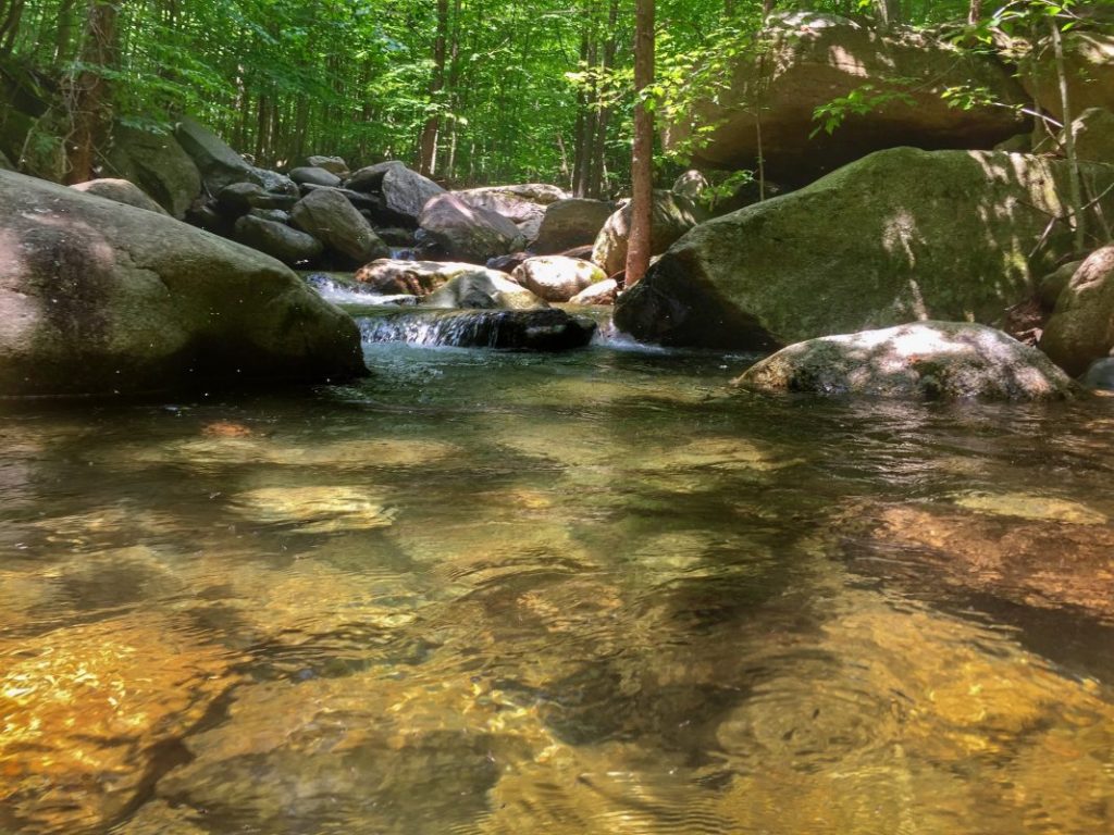 Beautiful Blueridge Mountain, Shenandoah brook trout stream.